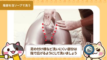 動画 陰部洗浄の手順を覚えて感染症予防につなげよう みんなの介護 動画 陰部洗浄の手順を覚えて感染症予防につなげよう みんなの介護