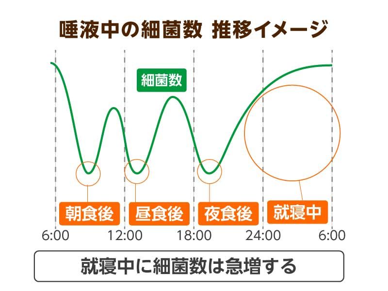 唾液中の細菌数推移イメージ