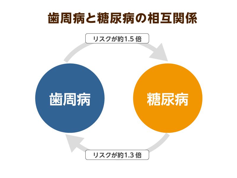 糖尿病と歯周病の相互関係