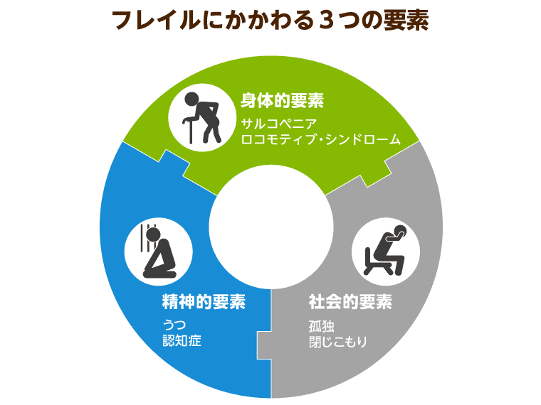 フレイルにかかわる3つの要素