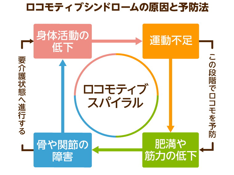 ロコモティブシンドローム予防啓発公式サイト – ロコモティブシンドローム 対策の意義 – PBPZN