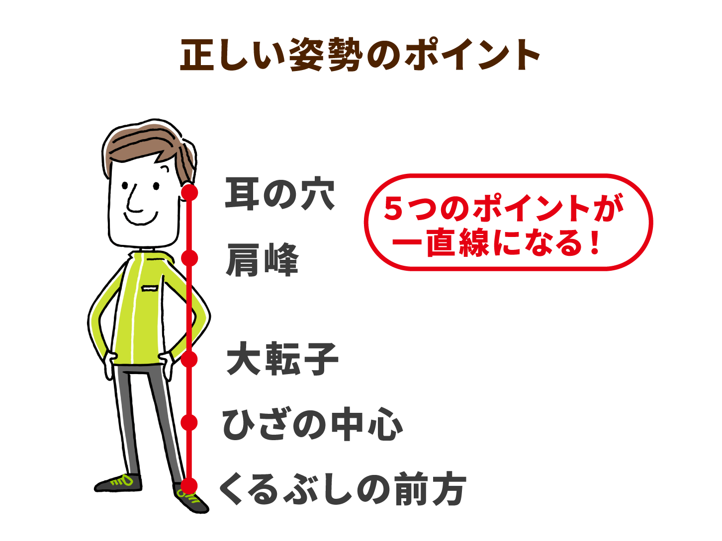 原因不明の腰痛は不良姿勢のせいかも 高齢者でも行える姿勢改善トレーニングを紹介 介護の教科書 みんなの介護