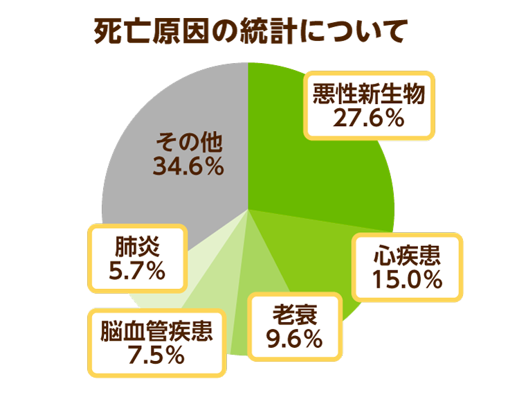 死亡原因の統計についての円グラフ