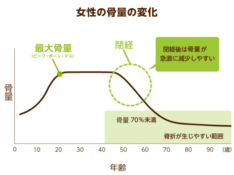 【骨粗鬆症学会理事長監修】骨粗鬆症とは？治療薬や予防法を解説｜みんなの介護