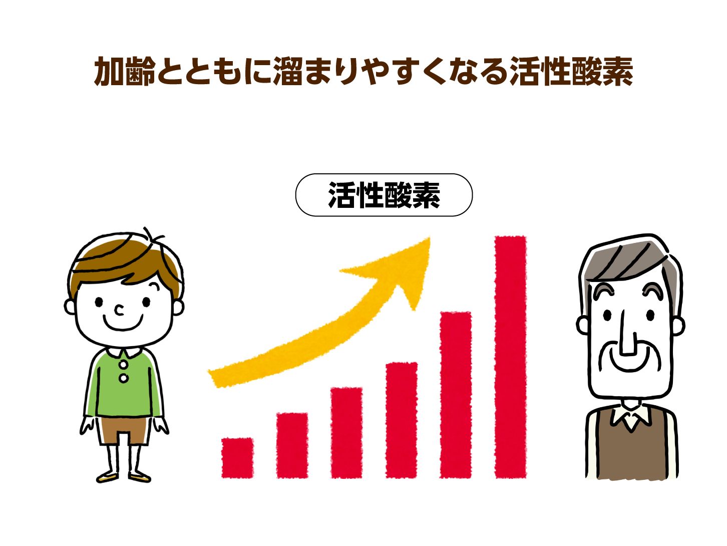 シニア世代は活性酸素の増加に注意！毎日の食事と生活習慣に気をつけ