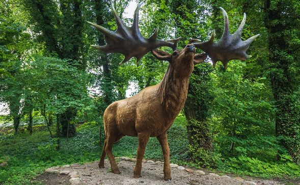 絶滅したオオツノジカ
