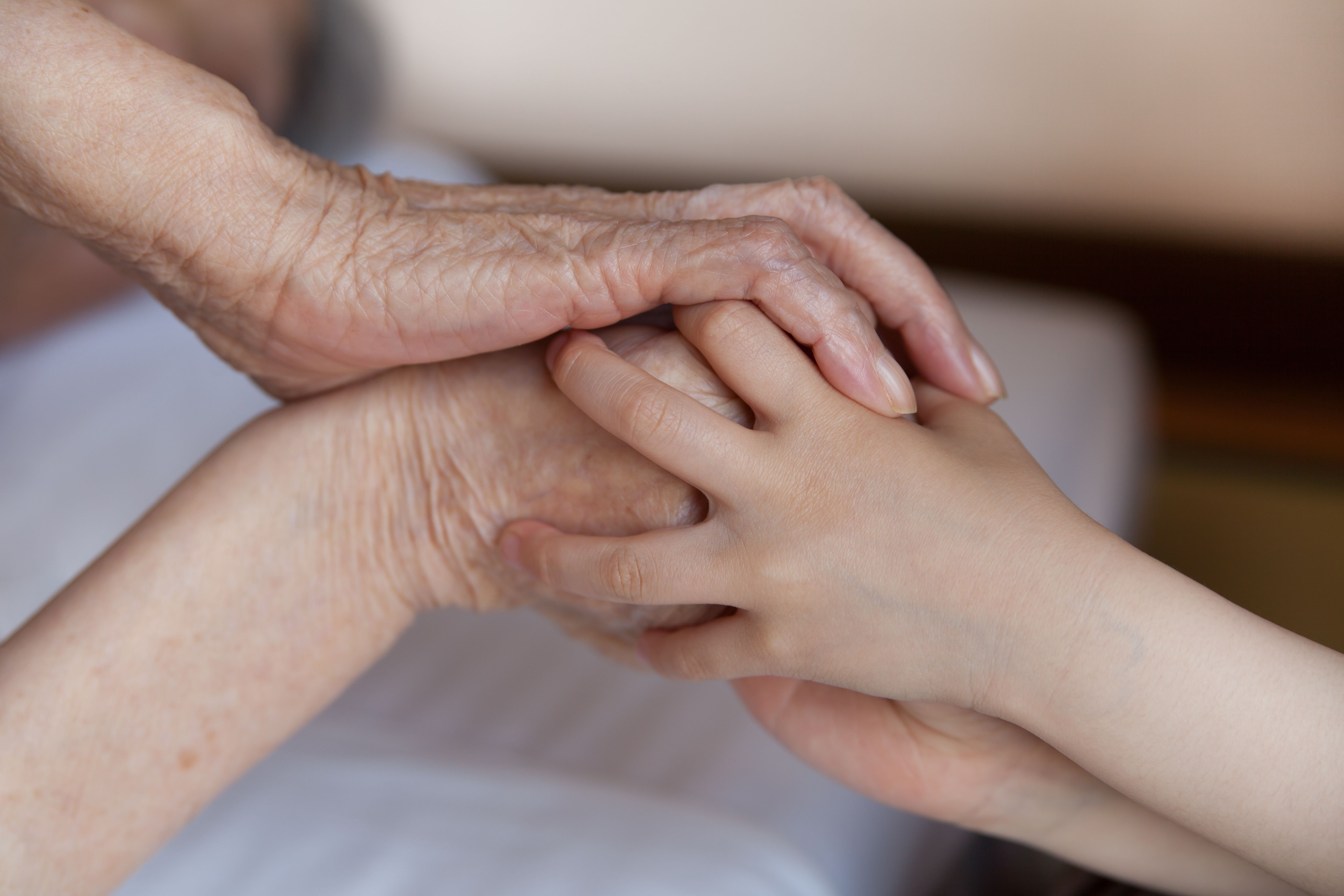 画像提供:adobe stock