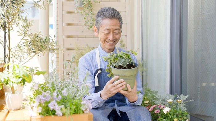 画像提供：adobe stock