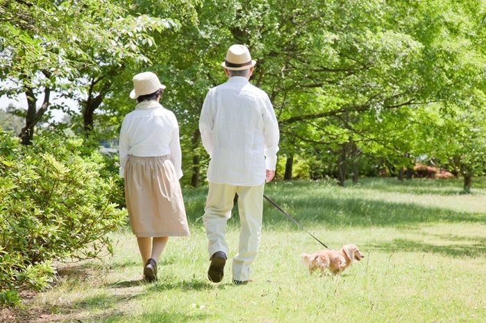 散歩の習慣をもつことも効果的