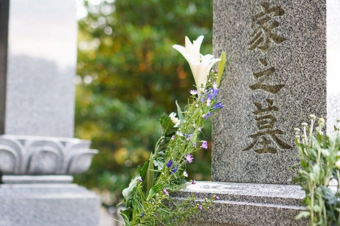 画像提供：photo AC