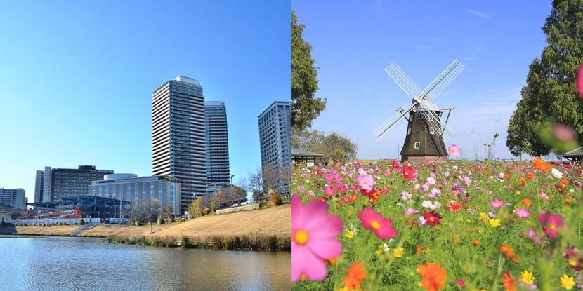 柏市の名所・景勝地のイメージ