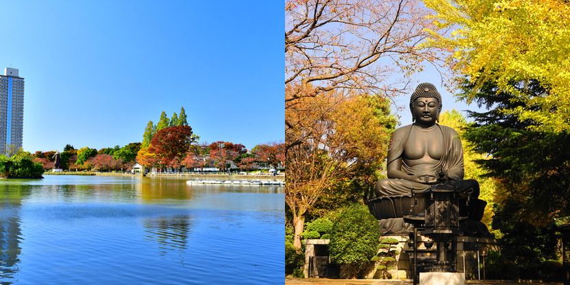 板橋区の名所・景勝地のイメージ