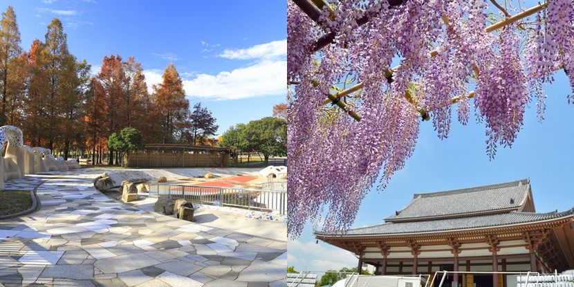 足立区の名所・景勝地のイメージ