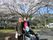 桜の花の下で笑顔で写真に写っている高齢者と施設のスタッフ。車いすを使っている人