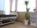 フローリングの部屋には介護ベッドが置かれ、観葉植物や花も飾られ、大きな窓にはカーテンが付いている。