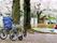 満開の桜の木の下で花見を楽しむ入居者の後ろ姿。手前には車いす。