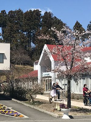 インターロッキングでの散歩