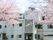 白を基調とした３階建ての建物。玄関には階段トスロープがあり、桜の花が満開になっている。