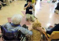 和やかな動物とのふれあい