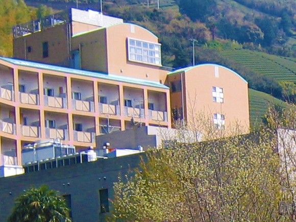 緑に囲まれた建物