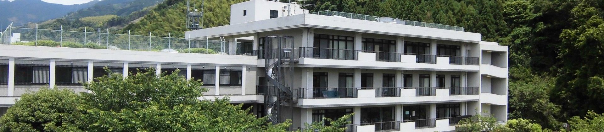 緑に囲まれた建物外観