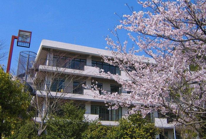 桜並木のある施設外観