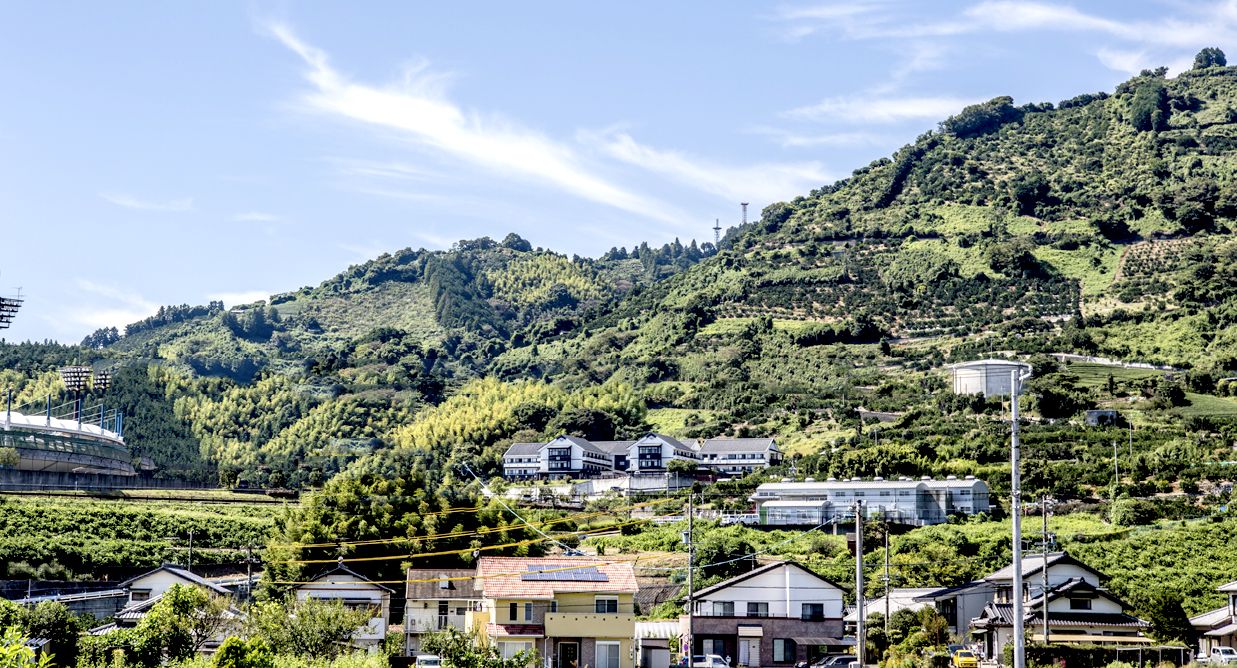 緑豊かな住宅地景観