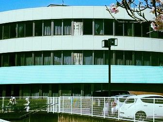 桜が咲く建物の外観
