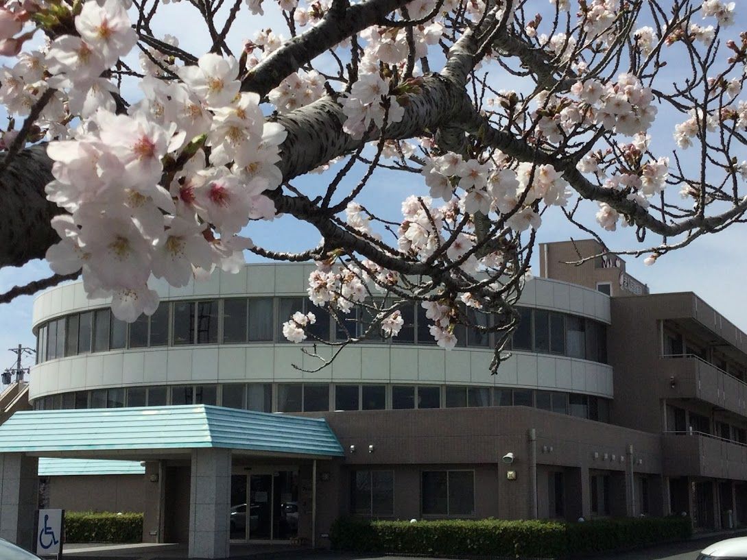 桜と建物の風景