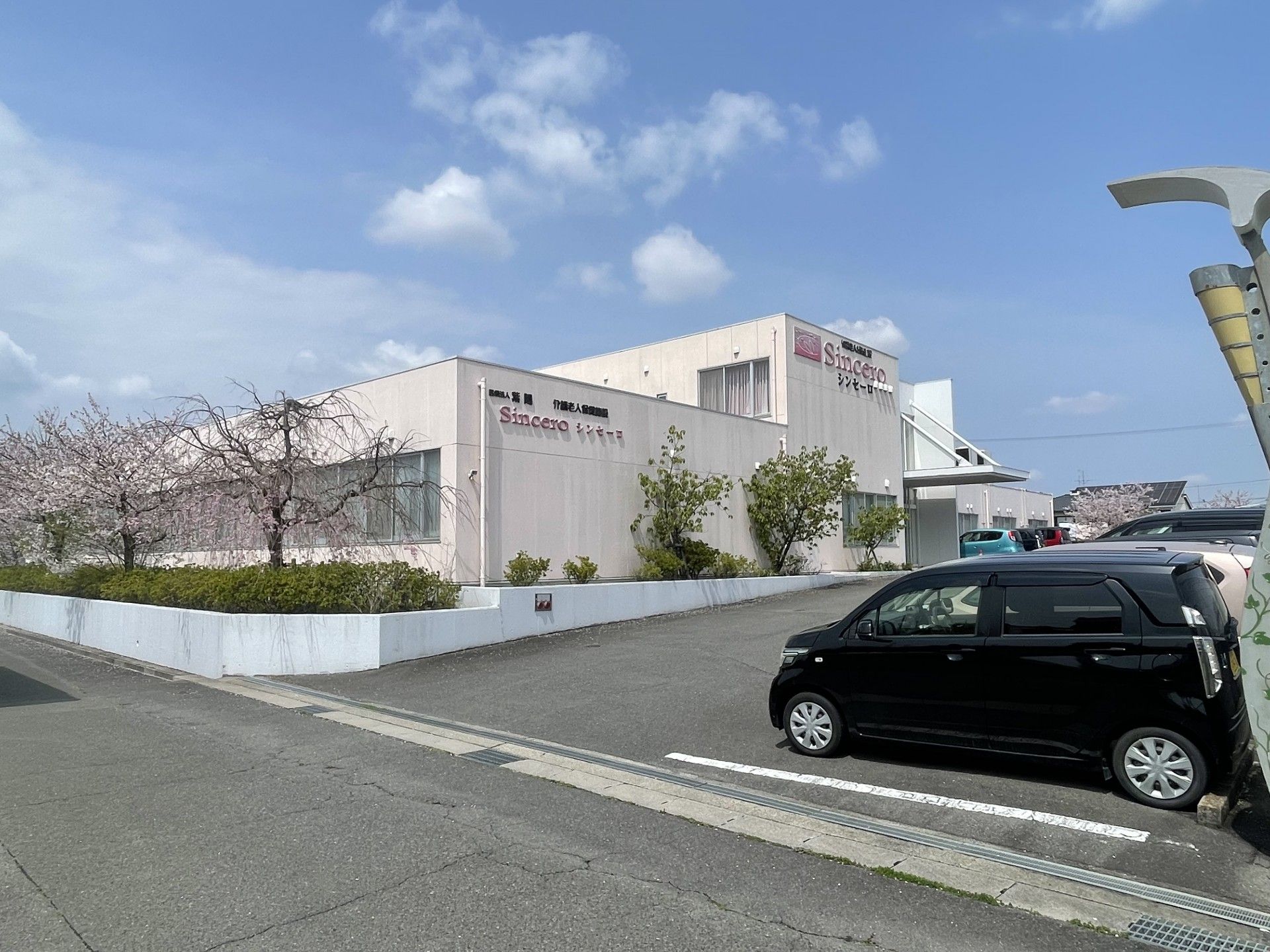 桜が咲く建物の外観