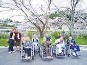 桜の下での集い