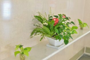 温もりある廊下の飾り棚