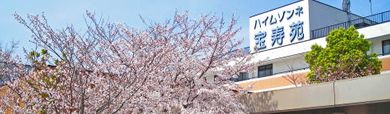 桜並木と建物の外観