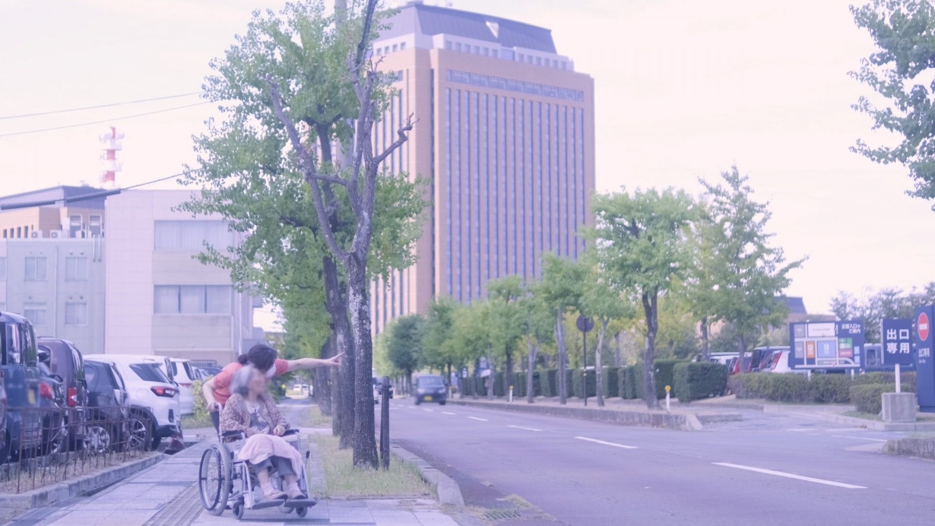 車椅子での散歩道