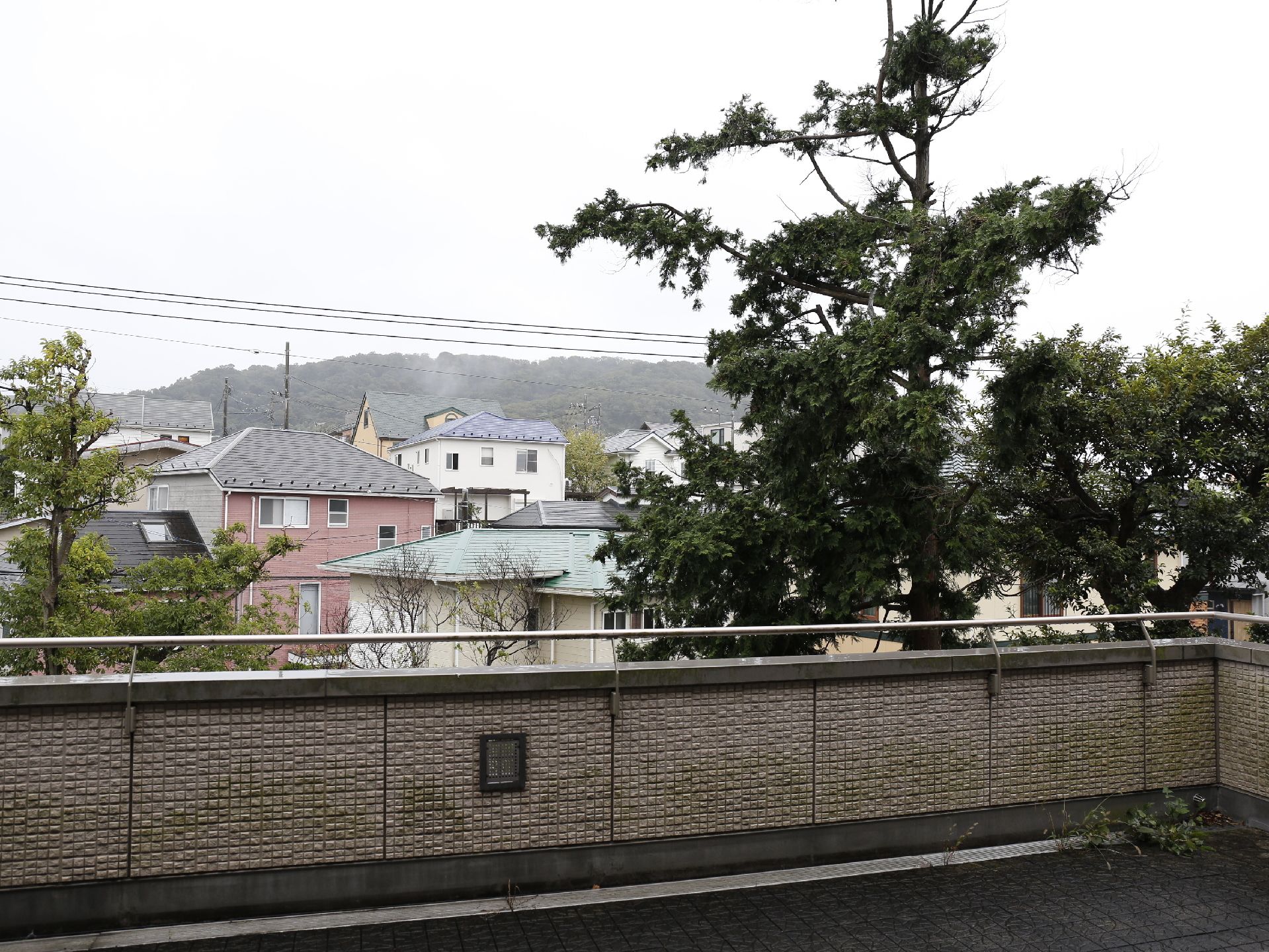 針葉樹や松などさまざまな木々が敷地内に植えられており、2階に設置されているバルコニーからは、周辺の山々と合わせて緑が溢れた景観が楽しめる。