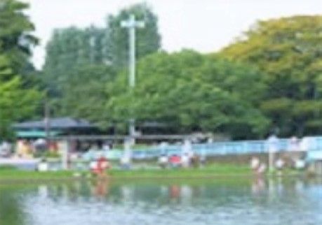 地域の人々が集う癒しの場所のひとつである公園の様子