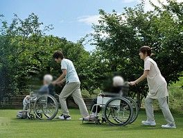 緑豊かな庭での散歩
