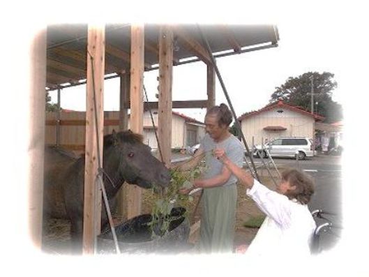 レクリエーション