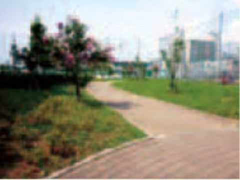 近隣には公園があり、タイル張りの通路が敷設されている。季節の花が見られるので、散歩に行くのに適している。