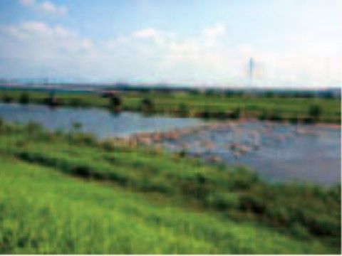 散歩では大和川の河川敷へ行くこともできる。川と周りの景色を見ながら進める。日常的な風景を眺められる場所である。