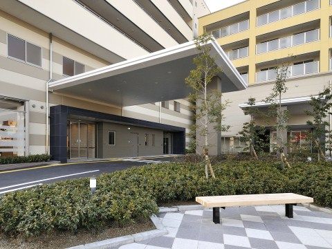 ピンク色と黄色の椅子が交互に並べられている、広さのある食堂