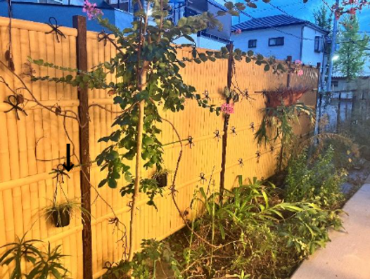 裏の小庭では夜はライトアップされ、きれいです