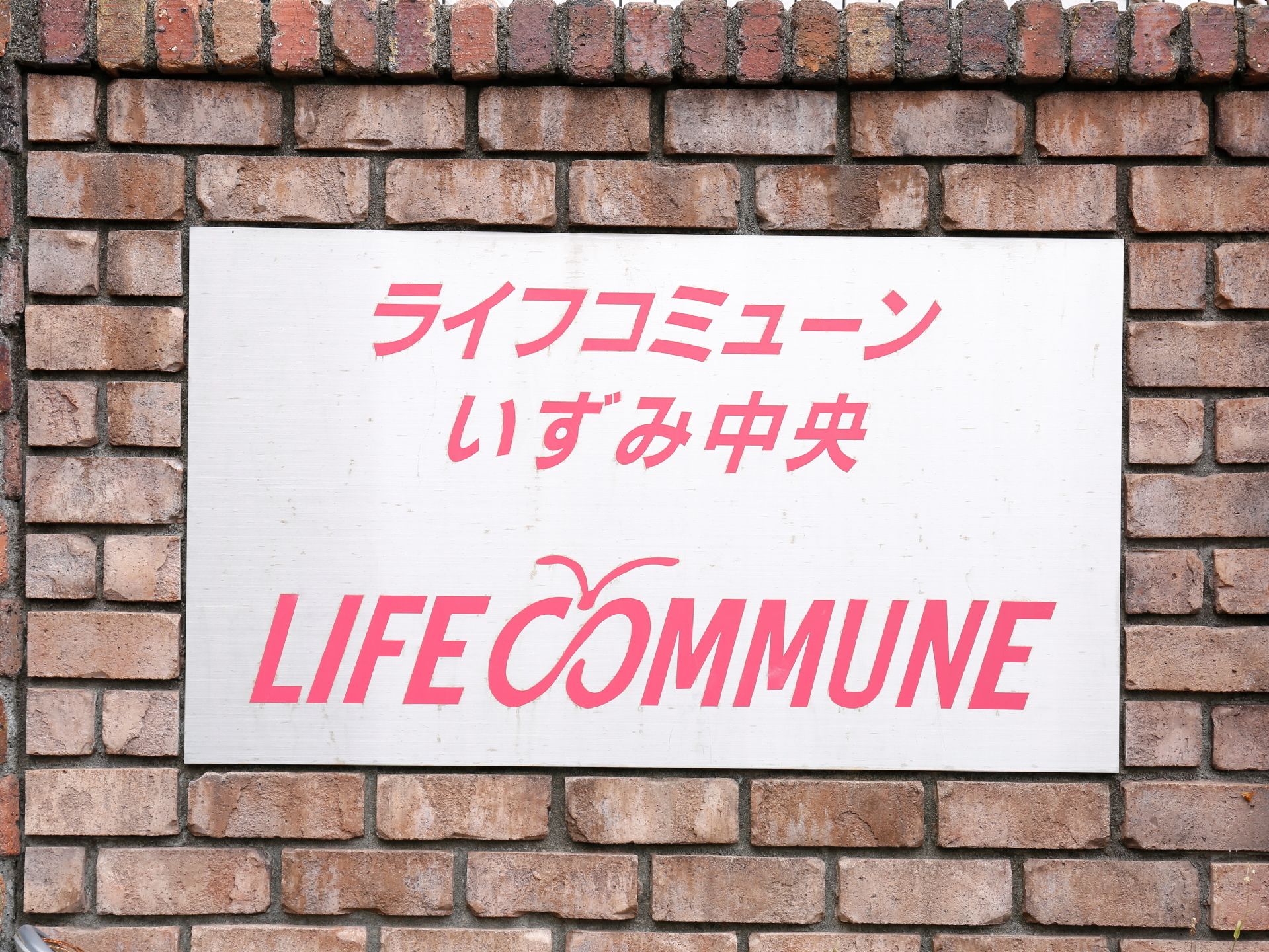 入口の看板はシンプルで誰にでも分かりやすく書かれている。ピンクで親しみ感があり、神奈川県横浜市なので、カモメのデザインが入っている。