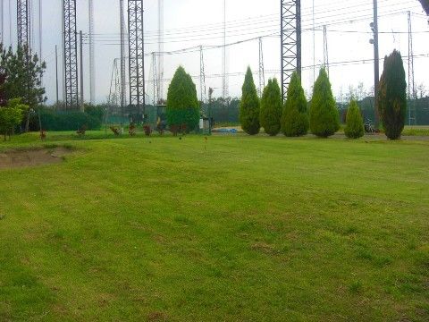 整備されている芝生