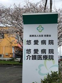 案内看板の前の桜