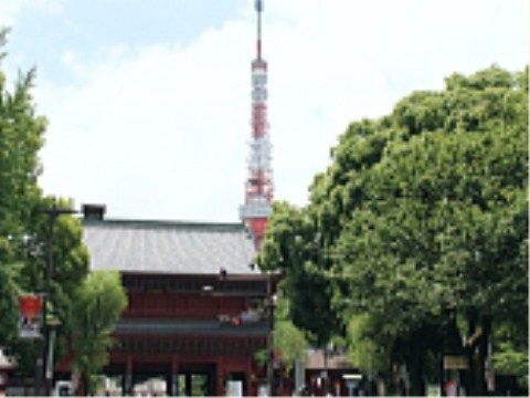 施設から散歩しながらの距離に東京タワーが立っている。なじみある大きな目印となり、毎日の散歩が日課になる。