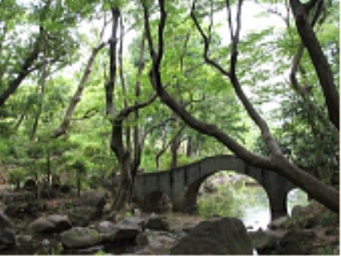 施設は、アクセス良好で商業施設も点在しながら、閑静な住宅地に立地している。近辺には公園や緑地が広がり自然豊かである。