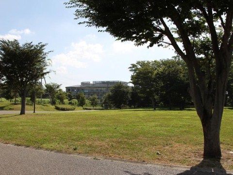 とても広い公園。多くの樹木があり、その奥に建物が見える。芝生のあるエリアを囲むように遊歩道が続いている。