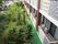 建物の裏には、中庭がある。たくさんの植物が植えられていて、花も咲いている。ベンチとテーブルも置いてある。
