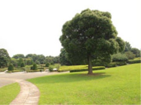 徒歩で行くことができる範囲に、大きな公園があり、広々とした敷地内で散策に適した場所があり、四季を感じながら楽しむことができる。
